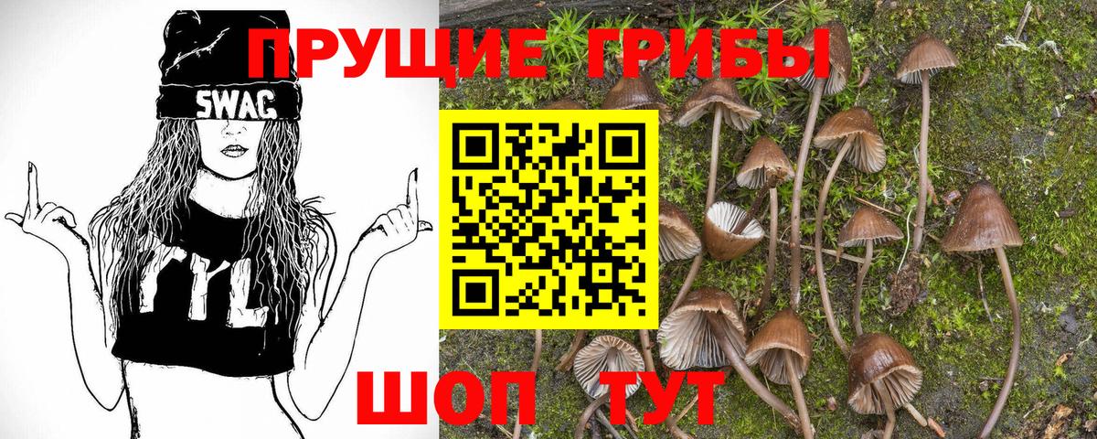 Азнакаево  Псилоцибиновые грибы Psilocybine cubensis  Вход с VPN 